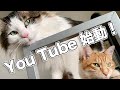 You Tubeはじめました！
