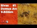 Sivas Domuz Avı 1 Ekip İşi 9.Bölüm Yaban Tv Wild Boar Hunting