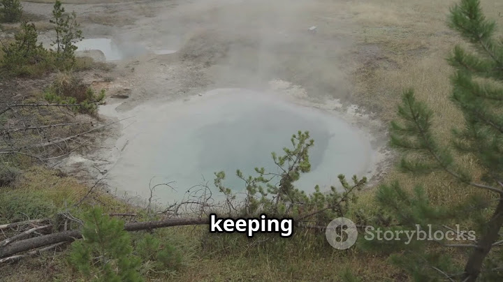 Yellowstone's Biscuit Basin Closed After Hydrothermal Explosion!