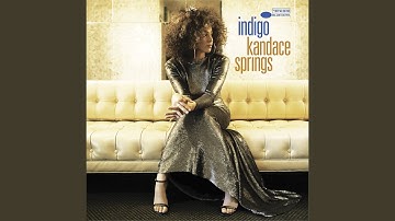 Thumbnail of Black Orchid