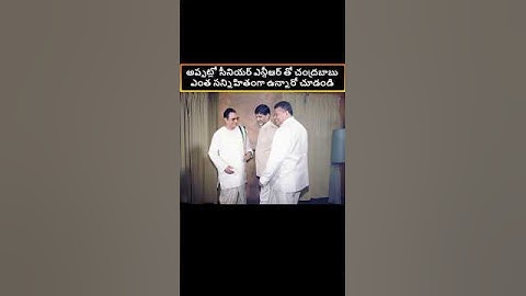 Senior NTR with Chandrababu Naidu in a rare video