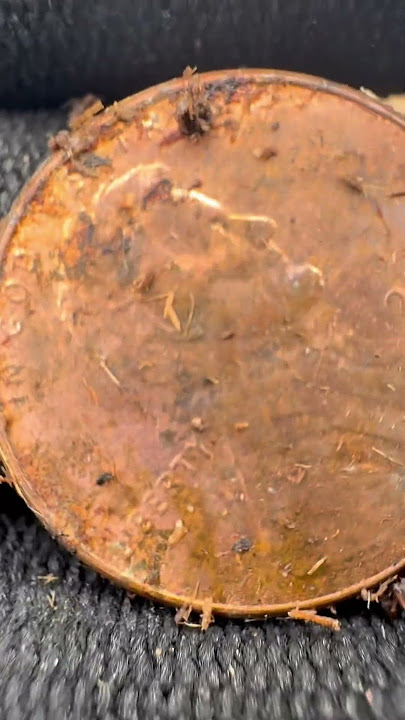 More & More #environmentalcleanup #metaldetecting