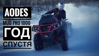 AODES MUD PRO 1000 ГОД СПУСТЯ