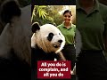 From Grumpy to Adorable 🐼✨ | Panda ASMR Roleplay at the Zoo | Whispering Complaints & Sweet Smiles