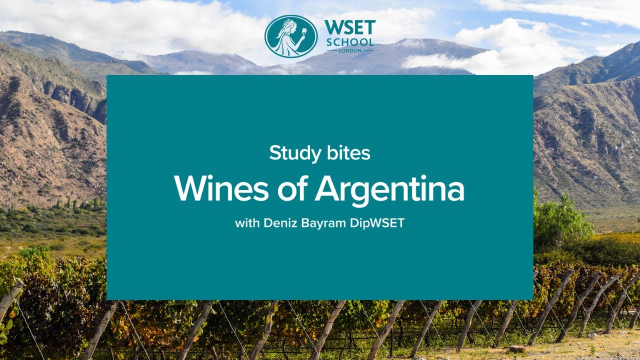 Study bites: wines of Argentina (WSET Level 3 wine)