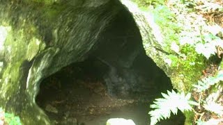 稲荷穴 (岩手県 遠野市) 稲荷穴 (岩手県 遠野市)