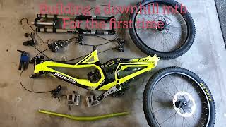 Dream built specialized demo 8 world champion series downhill mtb