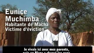 Alliance pour la terre de la Zambie (ZLA)