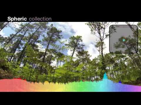 Forest atmosphere 1 Ambisonics sound effects