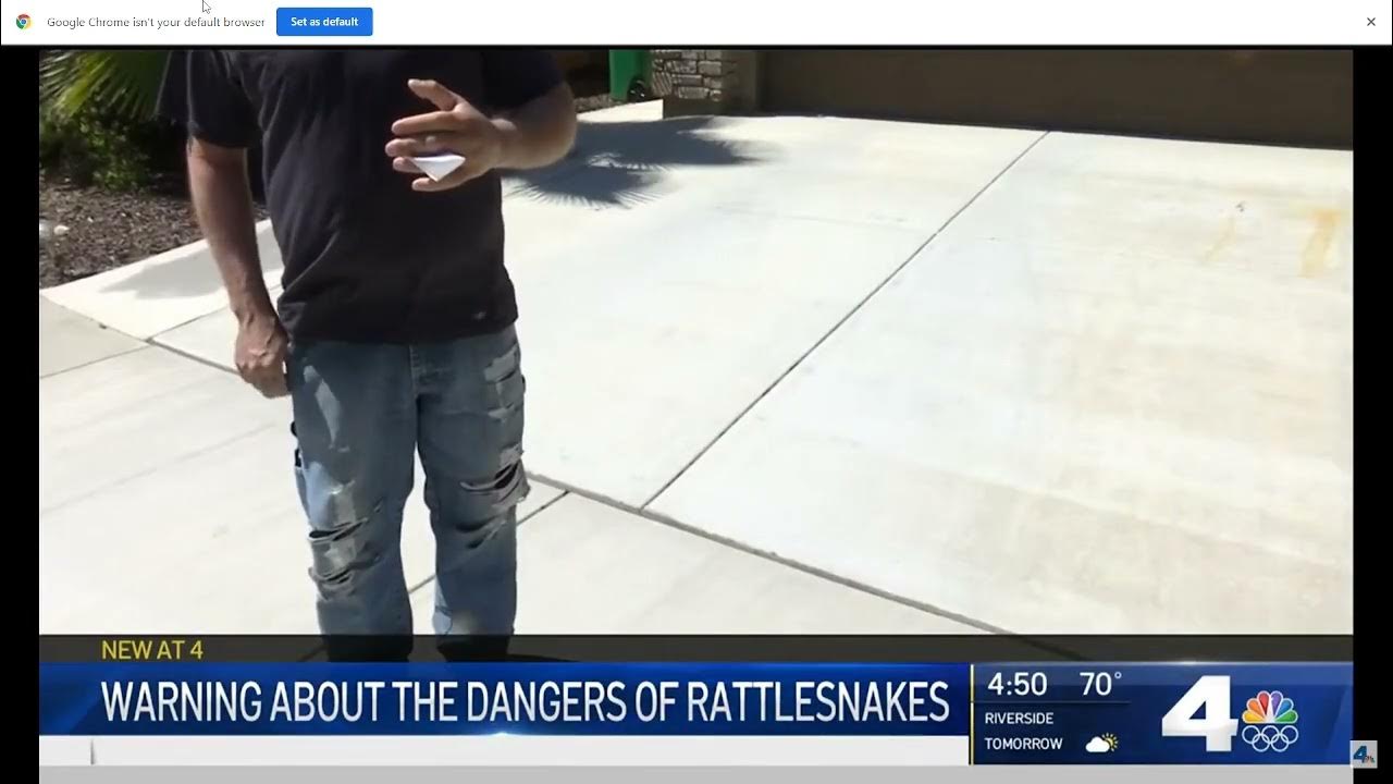 Rattlesnake Bites Man Who Picked It Up With tongs YouTube