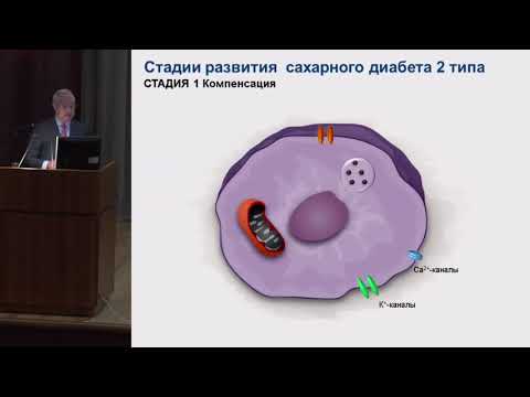 Аметов А.С., Диагностика и ведение пациентов с диабетом 2 типа в практике терапевта.