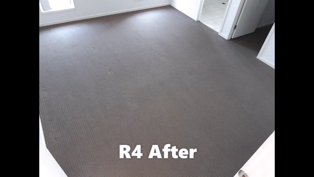 Aladdin Carpet Cleaning and Pest Control in Gladstone YouTube