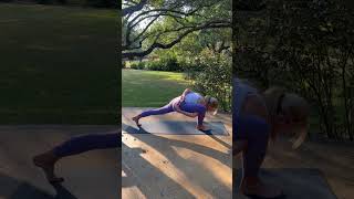 Lizard Pose Progression | From Beginner to Flying Lizard!