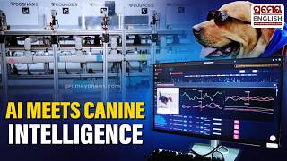 Dogs & AI Team Up to Detect Cancer! Bengaluru Startup's Revolutionary Healthcare Innovation