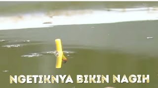 kumpulan pelampung ngetrik ikan mas/mancing ikan mas/ngetriknya  bikin nagih