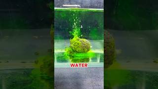 This Fishing Hack Works Fast