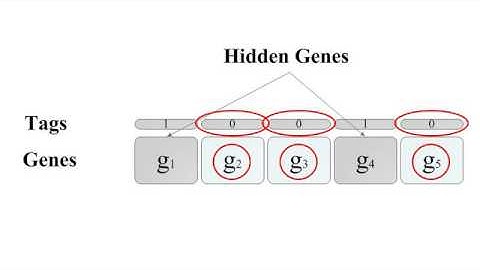 Systems Architecture Optimization Using Hidden Genes Genetic Algorithm