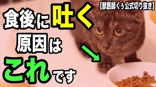 猫が食後に吐く原因を獣医師が解説します【獣医師くぅ公式切り抜き】 by くぅのキャットフード研究室 14,641 views 1 month ago 5 minutes, 46 seconds