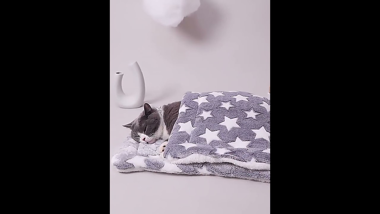 Promo Limité : Livraison et Tout Frais Inclus Au Prix Afficher qvkkft-jk.myshopify.com