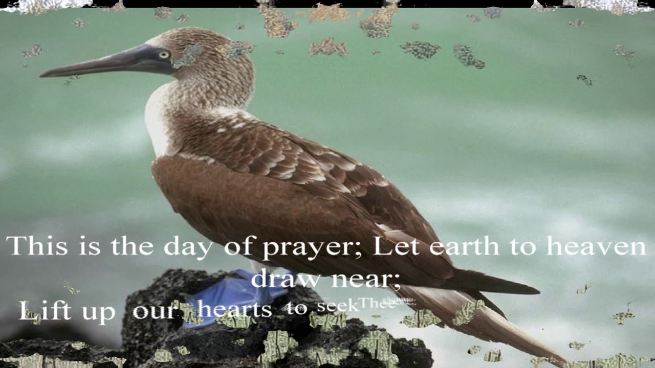 This Is The Day Of Rest 2