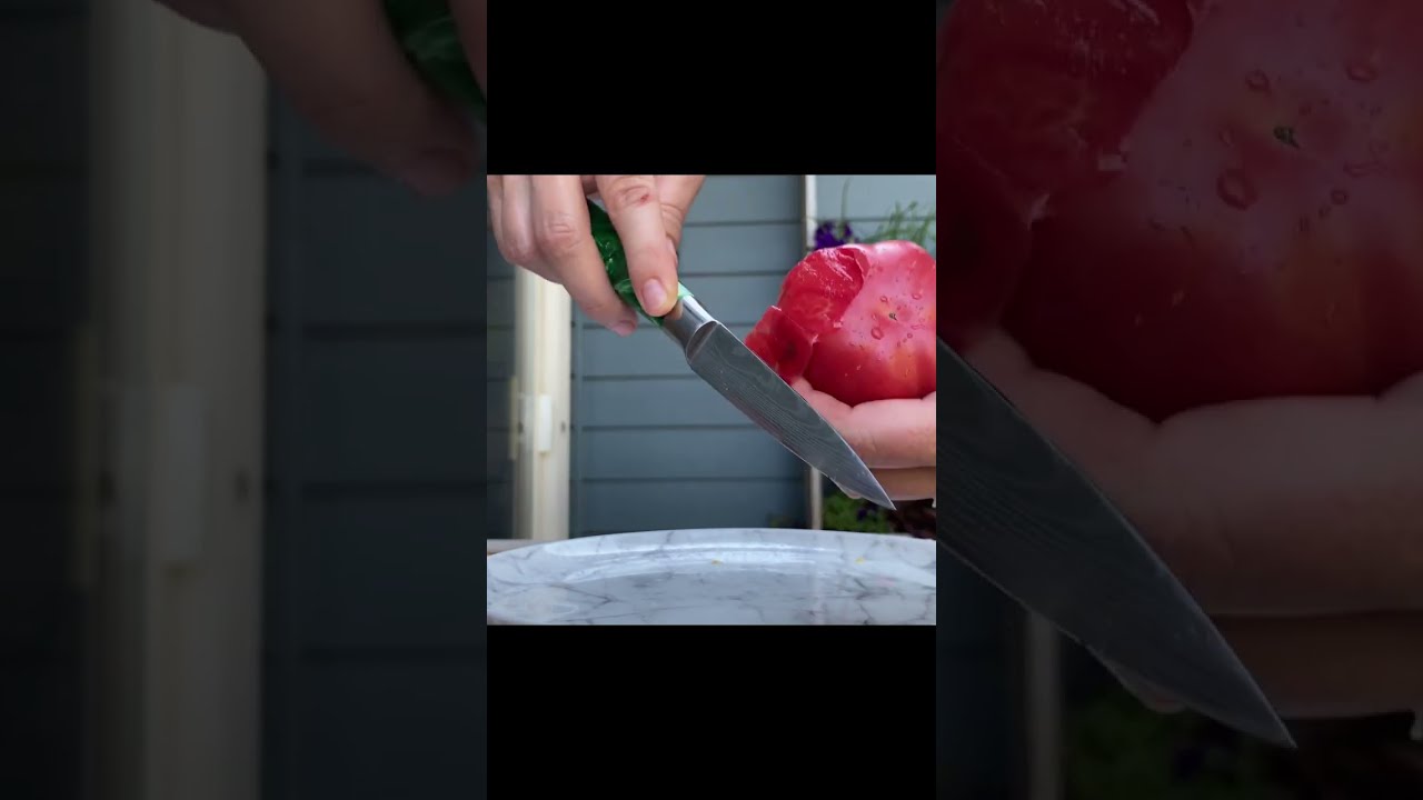 Tomato Taste Test #21 - Mushroom Basket