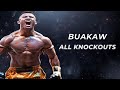 Buakaw  all knockouts of the legend