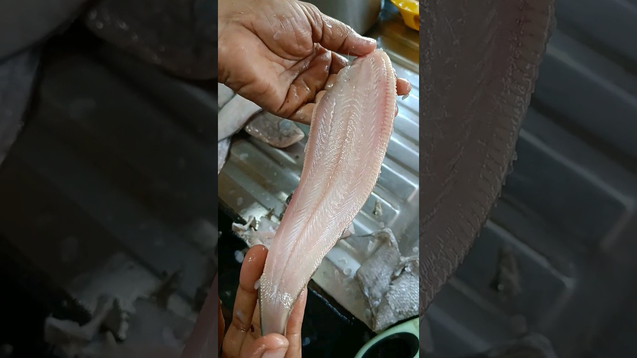 sole fish cleaning 