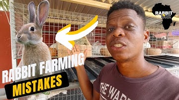 Rabbit Farming Mistakes You should Avoid