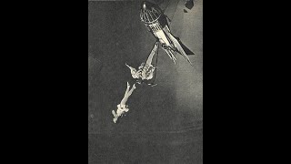 Золотой архив: Звезды советской воздушной гимнастики (1 часть)