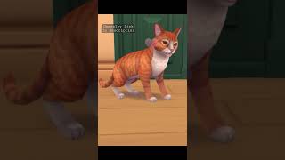 🐈 CAT RESCUE STORY #shorts #gaming #catrescuegame screenshot 2