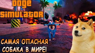 Собачья ДжыТыА! - Doge Simulator (первый взгляд)
