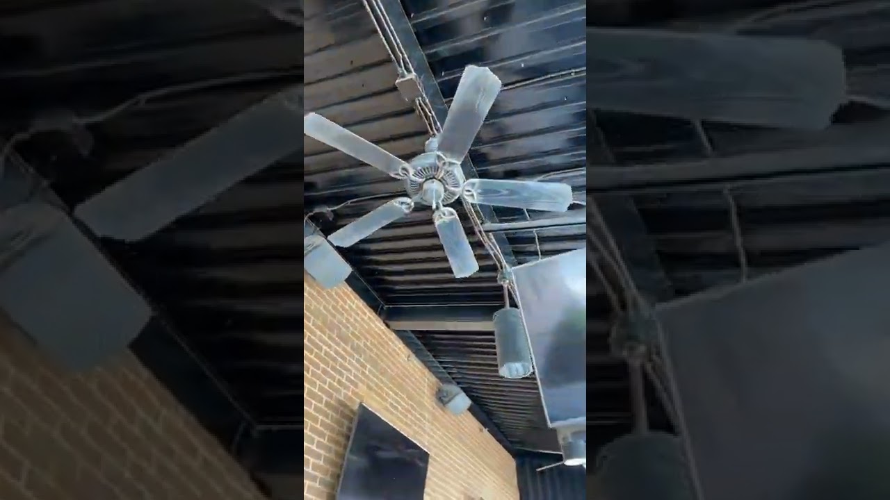 Craftmade Outdoor Patio Ceiling Fans outside a BDubs location (Ceiling Fan 