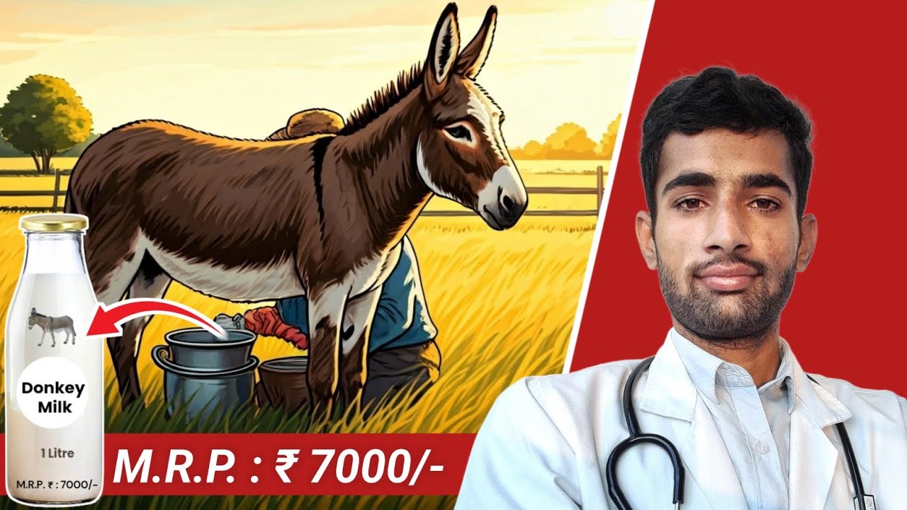 why-is-donkey-milk-so-expensive-uncovering-the-truth-youtube