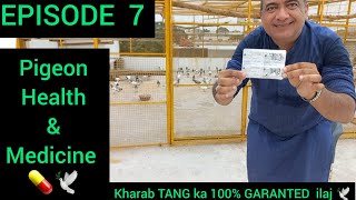 Episode  7 | kabootar ki kharab TANG ka 100 % GARANTED ilaj | pigeon leg medicine and treatment