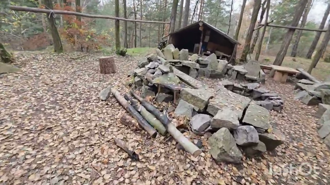 Prosičnice na Kanadě 