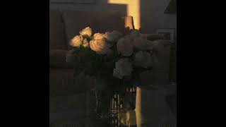 (FREE FOR PROFIT) white roses - sad powfu lofi type beat WITH HOOK
(FREE FOR PROFIT) white roses - sad powfu lofi type beat WITH HOOK
key: B major
bpm: 74
This beat is free for profit use on any platforms including all streaming services like spotify or apple music, but any use without a lease must give credit: song title (prod. jxsie beats)
✨ Email: josiebeats446@gmail.com
✨ Instagram: https://www.instagram.com/jxsiebeats/
✨ On our road to 50k :D https://www.youtube.com/@jxsiebeats/featured
FREE DOWNLOAD - https://bsta.rs/7034585ba
PURCHASE - If you want to be 100% sure that your song wont get taken down, or if your distributor requires a license for the beat, I suggest buying a lease: https://bsta.rs/7034585ba
If you post the beat using distrokid I would appreciate a percentage of profits with my email josiebeats446@gmail.com, 25% works for me :)
Do not register your song with content ID unless you pay for full ownership under EXCLUSIVE rights.
Ignore tags:
instrumental, type beat, beats, type beats, instrumentals, rap type beat, type of beat, type beat 2020, type instrumental, rap instrumental, trap instrumental, rap instrumentals, trap instrumentals, rap beat, rap beats, rap trap beat, rap trap beats, trap rap beat, trap rap type beat, trap rap beats, trap rap instrumental, rap trap instrumental, free type beat, free beat, free instrumental, free type beats, free beats, free instrumentals, beat de trap, base de trap, beat type, type beat instrumental, trap type beat, hip hop type beat, hiphop type beat, hip-hop type beat, hip hop instrumental, hiphop instrumental, instru on this channel.
If you liked this beat then I have a plenty of guitar, guitar beats, guitar beat, guitar type beat, guitar type beats, piano beat, emo rap, emo type beat, emo beat, emo beats, sad type beat, sad trap type beat, sad beat, sad beats, sad instrumental, sad instrumentals, emo instrumental, emo instrumentals, sad type beat free, free sad type beat, sad type beat 2020, sad lofi type beat, lofi type beat, lofi type beat free, free lofi type beat, lofi type beat 2020, lofi beat, lofi beats, lofi instrumental, lofi type beats, chill type beat, chill type beat 2020, chill type beat free, free chill type beat, chill beat, chill beats, chill instrumental, chill type beats, ouse type beat, powfu type beat, sadboyprolific type beat, vaboh type beat, lund type beat, joji type beat, xxxtentacion type beat, kina beats, kina type beat, shiloh dynasty, shiloh type beat, shiloh dynasty type beat, the bootleg boy, sad chill, dreamwave, lofi hip hop, chillhop, chill out, chilled cow, chilledcow, isaiah rashad type beat, kendrick lamar type beat, lofi trap type beat, lofi trap beat, lofi trap type beats, lofi beats, trippie redd type beat, sadeyes type beat, juice wrld type beat, snow type beat, promoting sounds, ikigai, chill beats music, college music, low fi, lo-fi, low-fi, bedroom pop type beat on here, powfu type beat,sadeyes type beat,sadboyprolific type beat,powfu type beat 2020,powfu type beat lofi,powfu type beat free,free powfu type beat,sadeyes type beat free,free sadeyes type beat,sadboyprolific type beat free,free sadboyprolific type beat,lofi type beat free,powfu sadboyprolific type beat,powfu x sadboyprolific type beat,lofi type beat,powfu x sadeyes type beat,powfu x sad eyes type beat,powfu sad eyes type beat,powfu sadeyes type beat,lofi beats,powfu type beat,rxseboy type beat,sadboyprolific type beat,powfu type beat 2020,rxseboy type beat,powfu type beat 2020,powfu type beat lofi,powfu type beat free,free powfu type beat,rxseboy type beat free,free rxseboy type beat,powfu type beat,powfu type beat 2020,powfu type beat lofi,powfu type beat free,free powfu type beat,lofi type beat free,free lofi type beat,free lofi beats,lofi type beat,type beat lofi,free powfu beat,powfu beat,free lofi beat,lofi type beat powfu,free type beat lofi,powfu lofi type beat,lofi type beat sad,lofi type beat free,free lofi type beat,free lofi beats,lofi type beat,lofi,type beat,free type beat,lofi type beat 2020,free lofi beat,powfu lofi type beat,lofi type beat sad,powfu type beat sad,xxxtentacion type beat,xxxtentacion type beat free,free xxxtentacion type beat,xxxtentacion type beat sad,xxxtentacion type beat lofi,sad xxxtentacion type beat,chill type beat,chill type beat lofi,chill type beat free,free chill type beat,lofi type beat free,free lofi type beat,free lofi beats,lofi type beat,type beat,free type beat,free lofi beat,chill lofi type beat,lofi type beat chill,piano type beat,piano type beat free,free piano type beat,piano type beat chill,piano type beat lofi,chill piano type beat,lofi type beat piano,type beat chill,type beat lofi,beat chill,beat lofi,chill beat,lofi,chill (FREE FOR PROFIT) white roses - sad powfu lofi type beat WITH HOOK