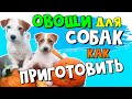 Как приготовить овощи для собак - рецепт овощной запеканки 🍎🍆🌶🍅