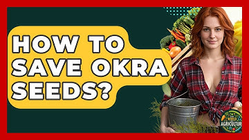 How To Save Okra Seeds? - The World of Agriculture