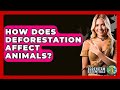 How Does Deforestation Affect Animals? - Ecosystem Essentials