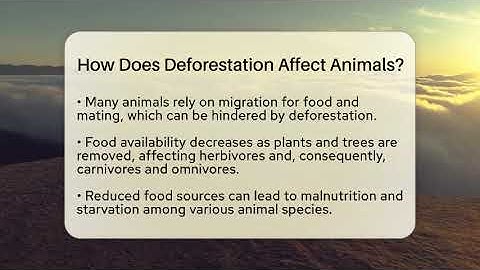 How Does Deforestation Affect Animals? - Ecosystem Essentials