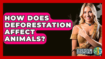 How Does Deforestation Affect Animals? - Ecosystem Essentials