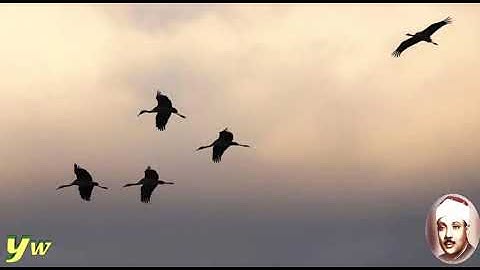 69 Al Haqqah سورة الحاقة القارئ عبد الباسط عبد الصمد