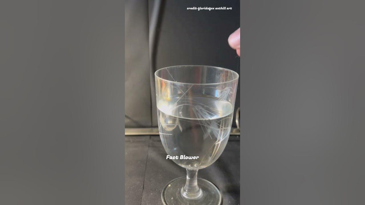 Glass that broke AK47 bullet🤯 World's strongest glass viral YouTube