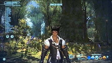FFXIV Diary -  Introduction - Character Creation & Benchmark