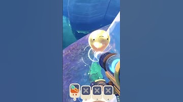 I Found a GOLDEN Slime in Slime Rancher 2