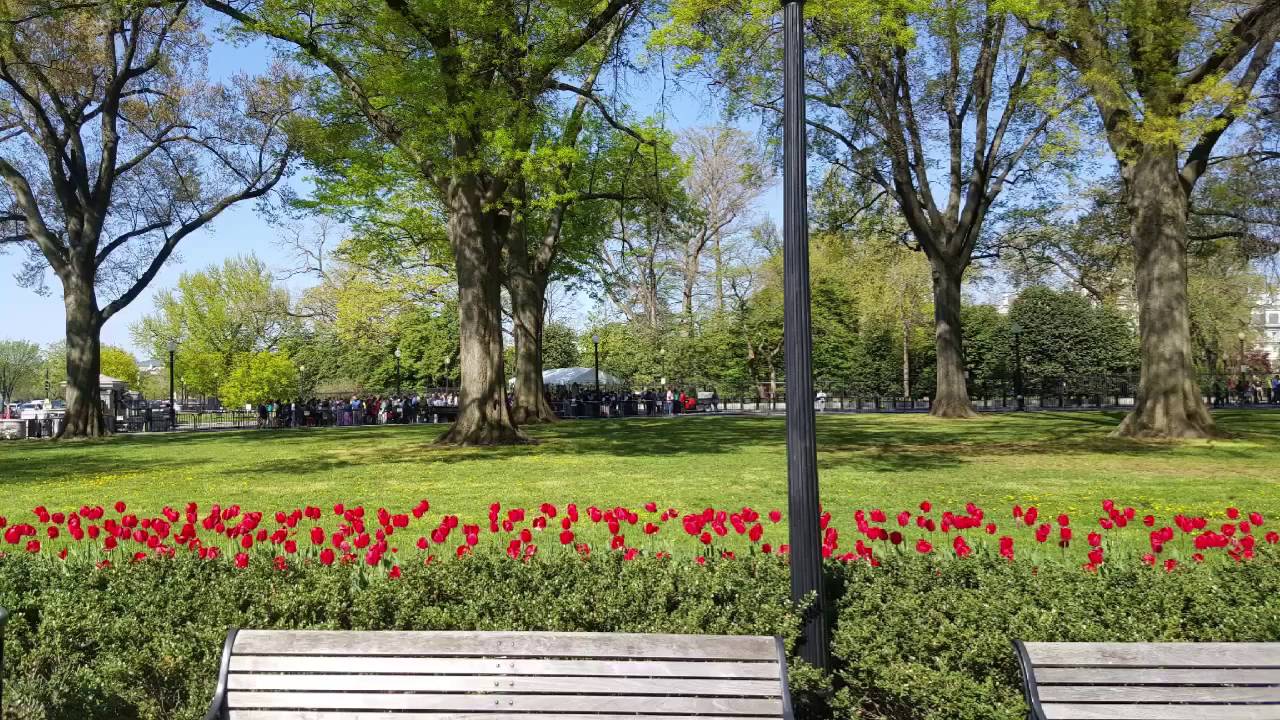 The White House Garden Tour - 2016
