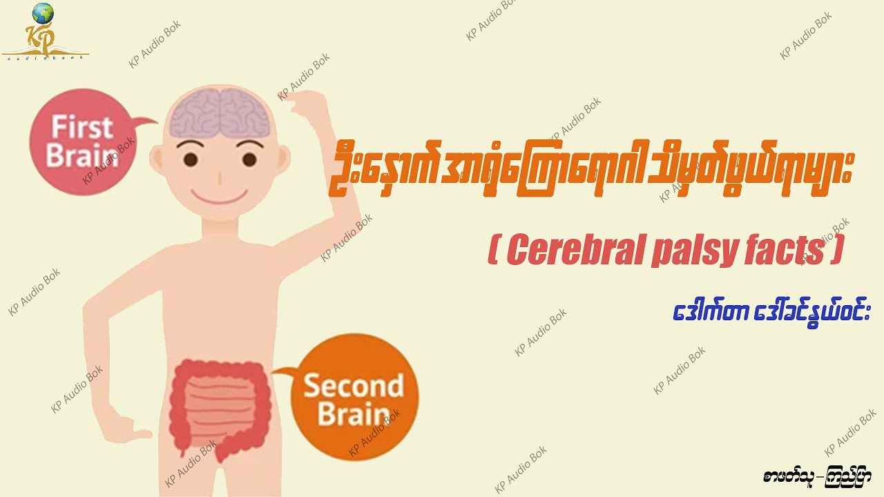 ဦးနှောက်အာရုံကြောရောဂါ သိမှတ်ဖွယ်ရာများ - ဒေါက်တာ ဒေါ်ခင်နွယ်ဝင်း ( စာစု -၃)