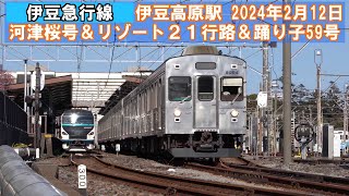 【伊豆急行線】伊豆高原　2024年2月12日 「河津桜号」＆「リゾート２１行路」＆「踊り子59号」