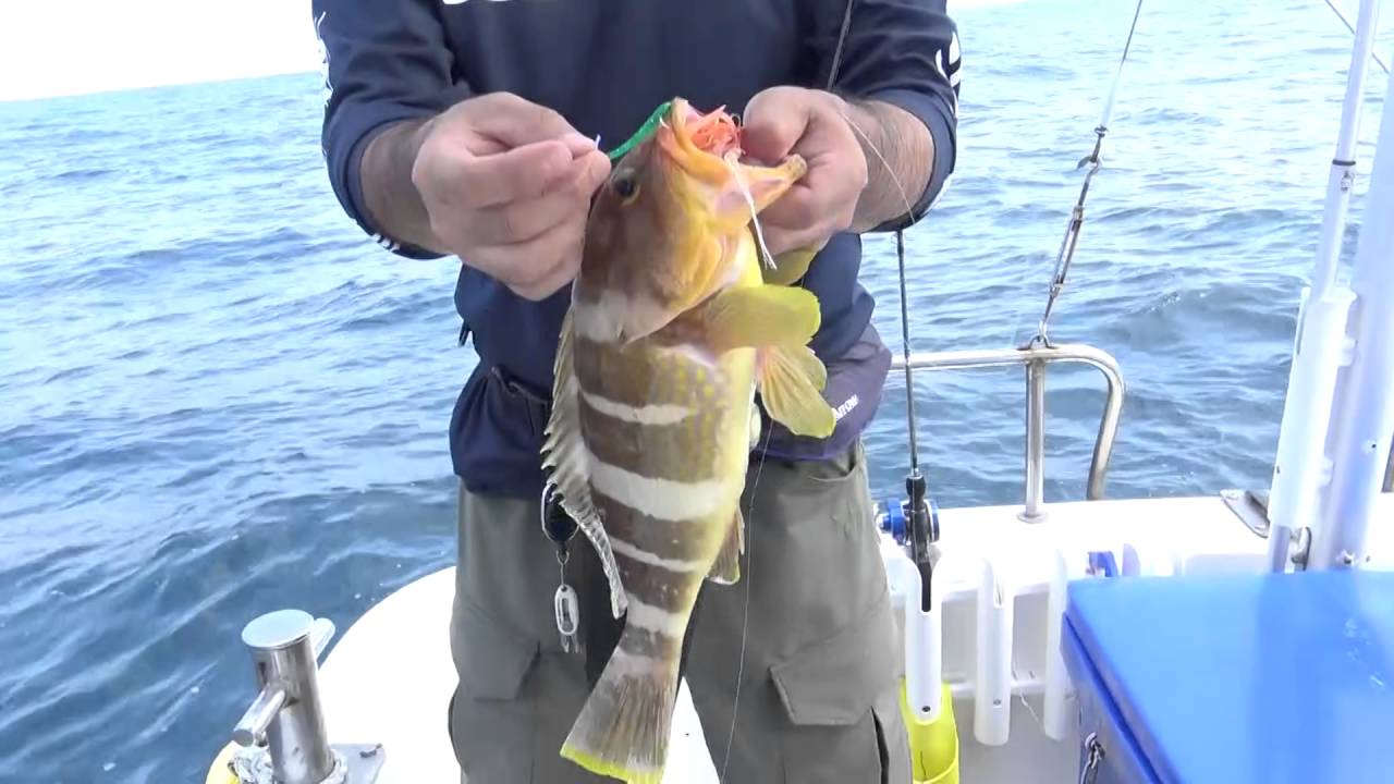 大注目のフラッシングタイラバ フラッシング系ワームをチョン掛けするだけで劇的に釣果が変わる 釣りの総合ニュースサイト Lurenewsr ルアーニュース アール