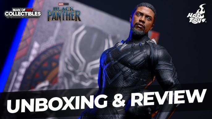 Black Panther Sixth Scale Figure by Hot Toys